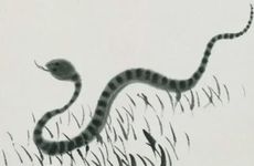 属蛇人用什么微信头像旺财