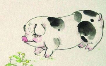 2026属猪人幸运数字是什么