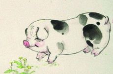 1995年属猪人哪年才开始走大运