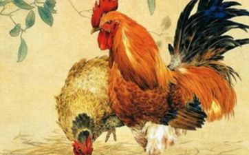 1957年属鸡人住几层楼吉利