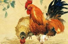 1957年属鸡人住几层楼吉利