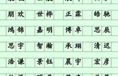 2025年11月26号出生的男宝宝名字