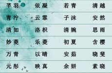 2025年11月11号出生的男宝宝名字