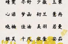 2025年11月21号出生的男宝宝名字