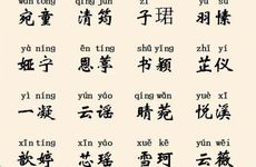 2025年11月8号出生的女宝宝名字