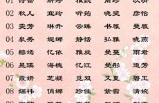 2025年11月20号出生的男宝宝名字