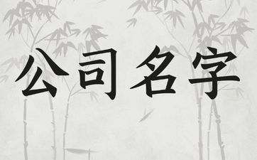 项目咨询土味点的公司名字参考