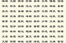 2025年11月10号出生的女宝宝名字