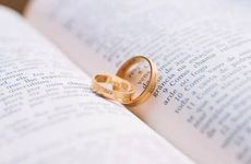 鸡男兔女配对宜忌