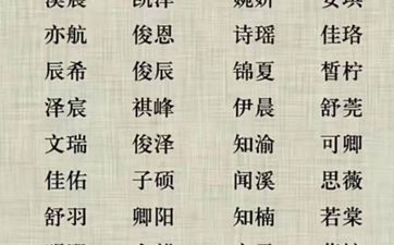2025年11月2号出生的女宝宝名字