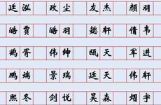2025年11月8号出生的男宝宝名字