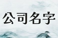 两字的简单易懂公司名字