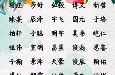 2026年二月廿九出生邱姓男孩名字叫什么