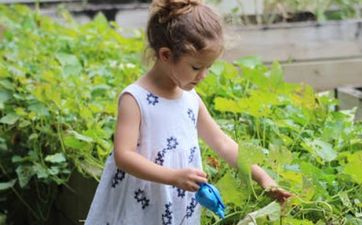 2026年正月廿八出生万姓女孩名字叫什么 2026年正月廿八出生万姓女孩名字叫什么