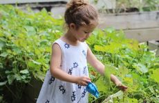 文姓女孩名字2026年5月13日出生的