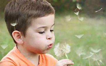 2026年二月二十出生贺姓男孩名字怎么取