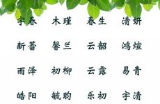 马姓女孩名字2026年6月19日出生的