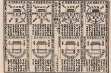 乌龟不适合什么人养