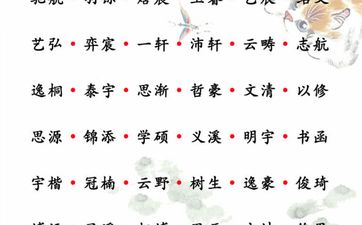 2026年正月初八出生王姓男孩名字叫什么