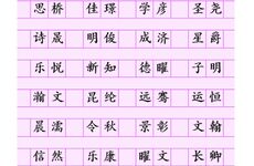 新路桥材料公司取名字大全