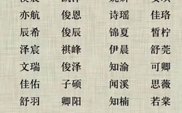 2026年二月廿八出生文姓男孩名字